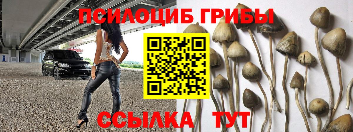 Галлюциногенные грибы Magic Shrooms  Вход с VPN  Пятигорск 