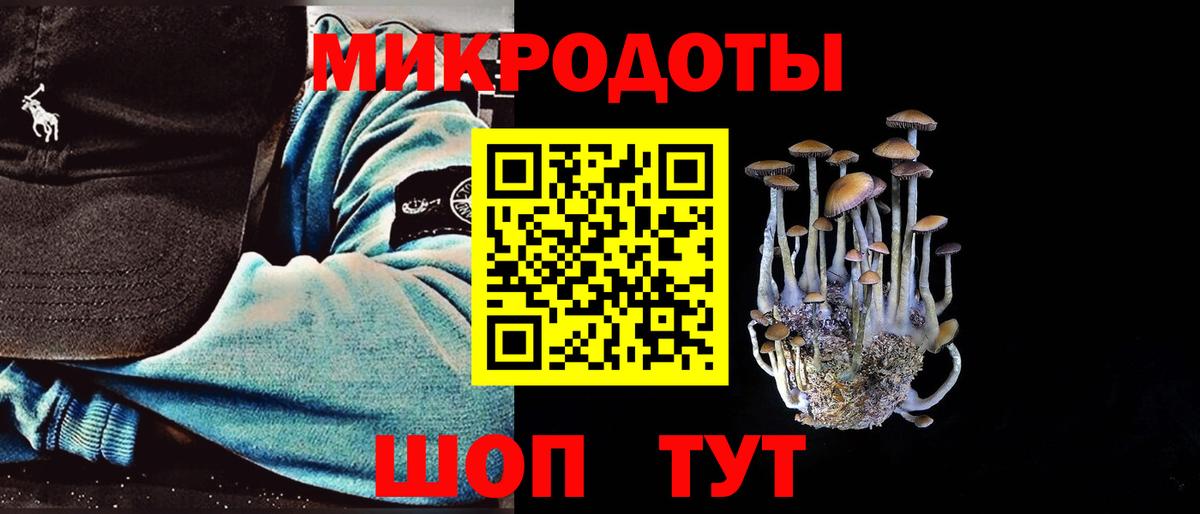 Галлюциногенные грибы Magic Shrooms Пятигорск
